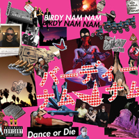 Birdy Nam Nam - Dance or die